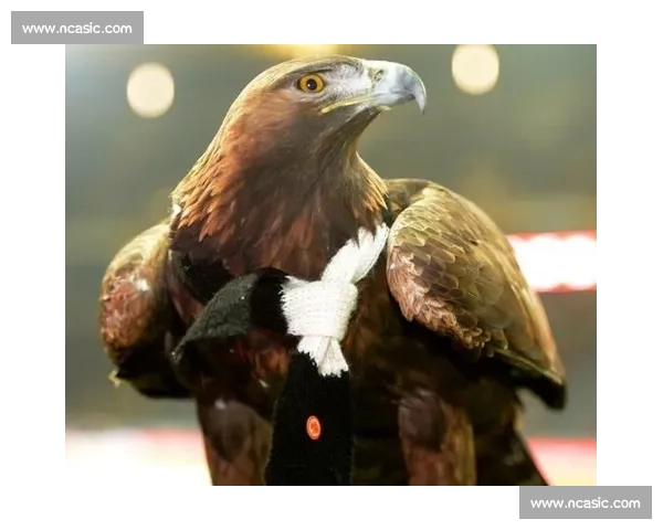 科隆防线遭重创！许伯斯战多特膝伤缺阵半年